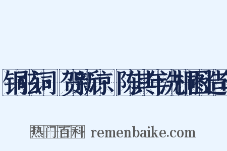 铜弦词·贺新凉·陈其年洗桐图造句是什么意思的图片